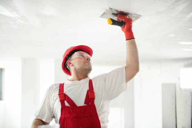 Best Commercial Mold Inspection  in Evansdale, IA