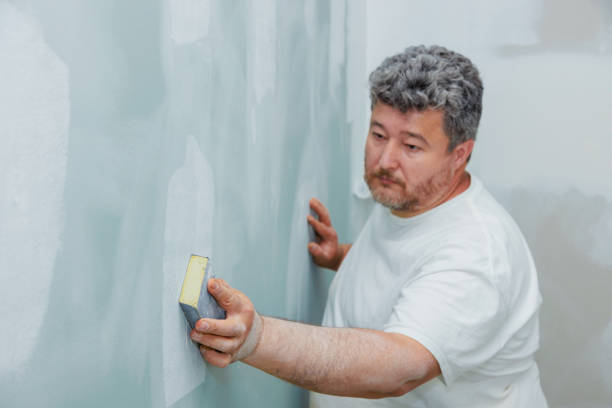 Best Mold Odor Removal Services  in Evansdale, IA